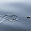Ein Tropfen Wasser zieht Kreise auf einer Wasseroberfläche