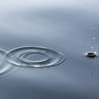 Ein Tropfen Wasser zieht Kreise auf einer Wasseroberfläche